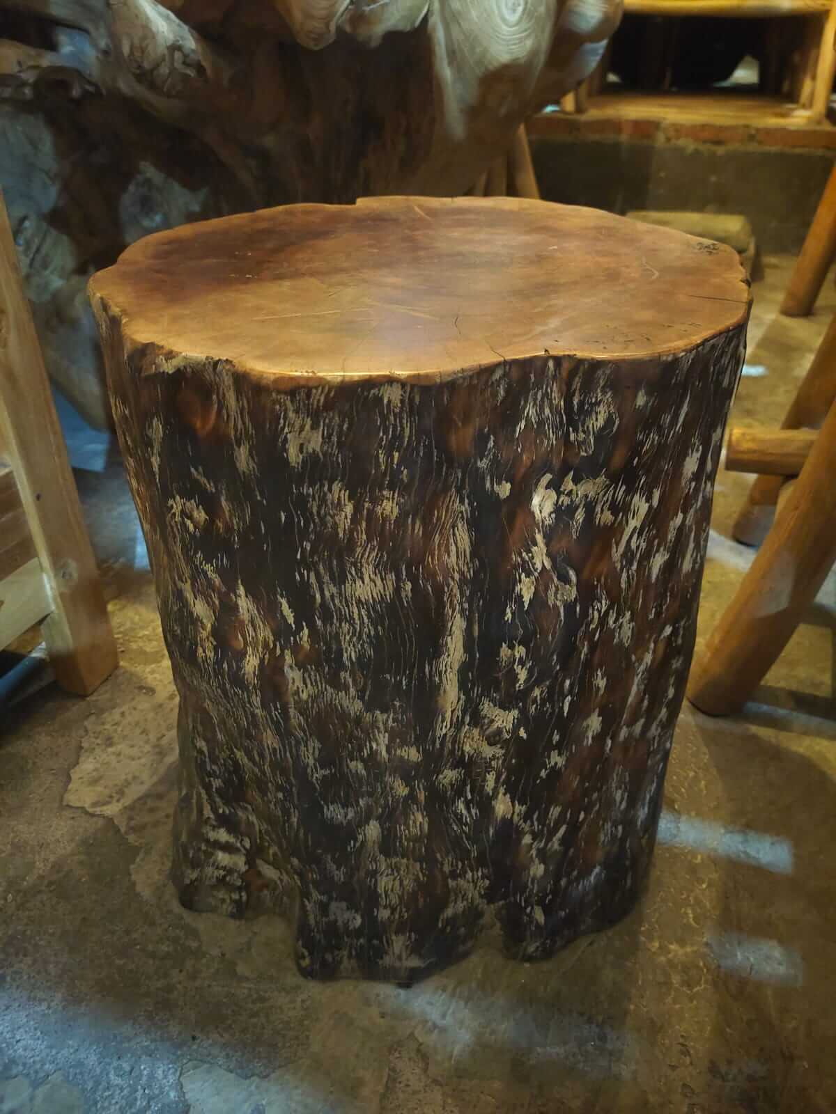 Stool kayu kelengkeng solid batang kayu alami desain rustic untuk kafe dan interior natural