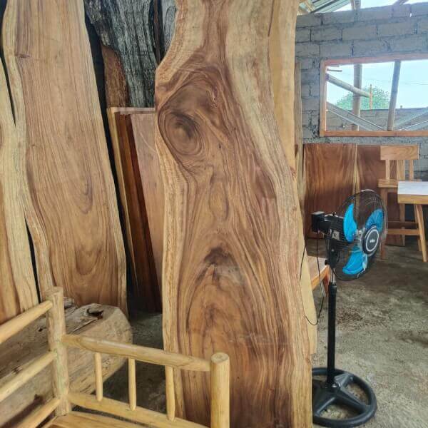 Natural Wood Planks 256 x 62 x 9 cm